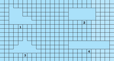 Page 267 Chapter 9 Class 7th NCERT Exemplar